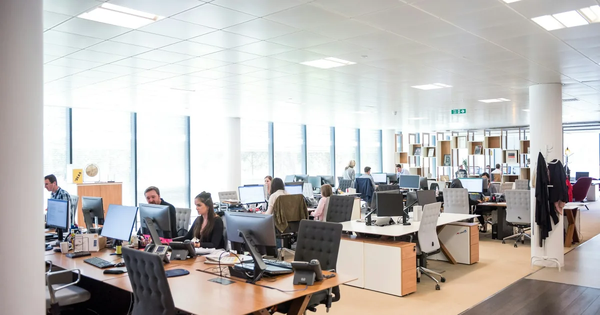 An open-plan office where several people work side by side at long desks