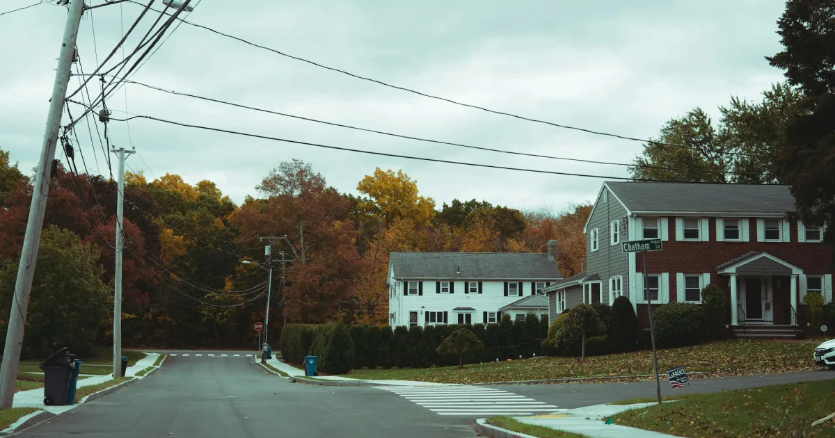 A quiet suburban street lined with trees in autumn