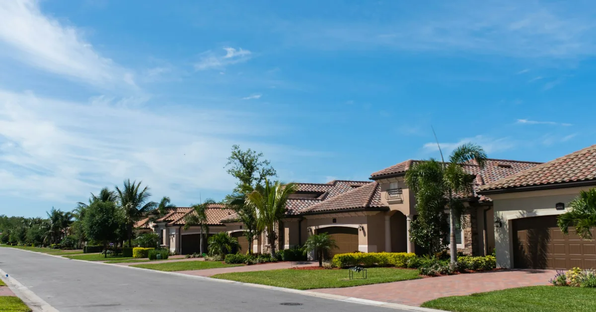 A quiet residential street lined with houses and palm trees