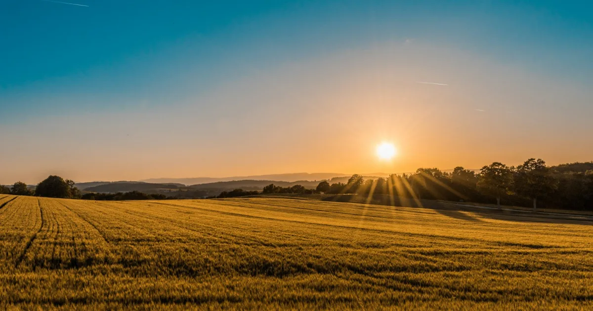Sunrise over open farmland